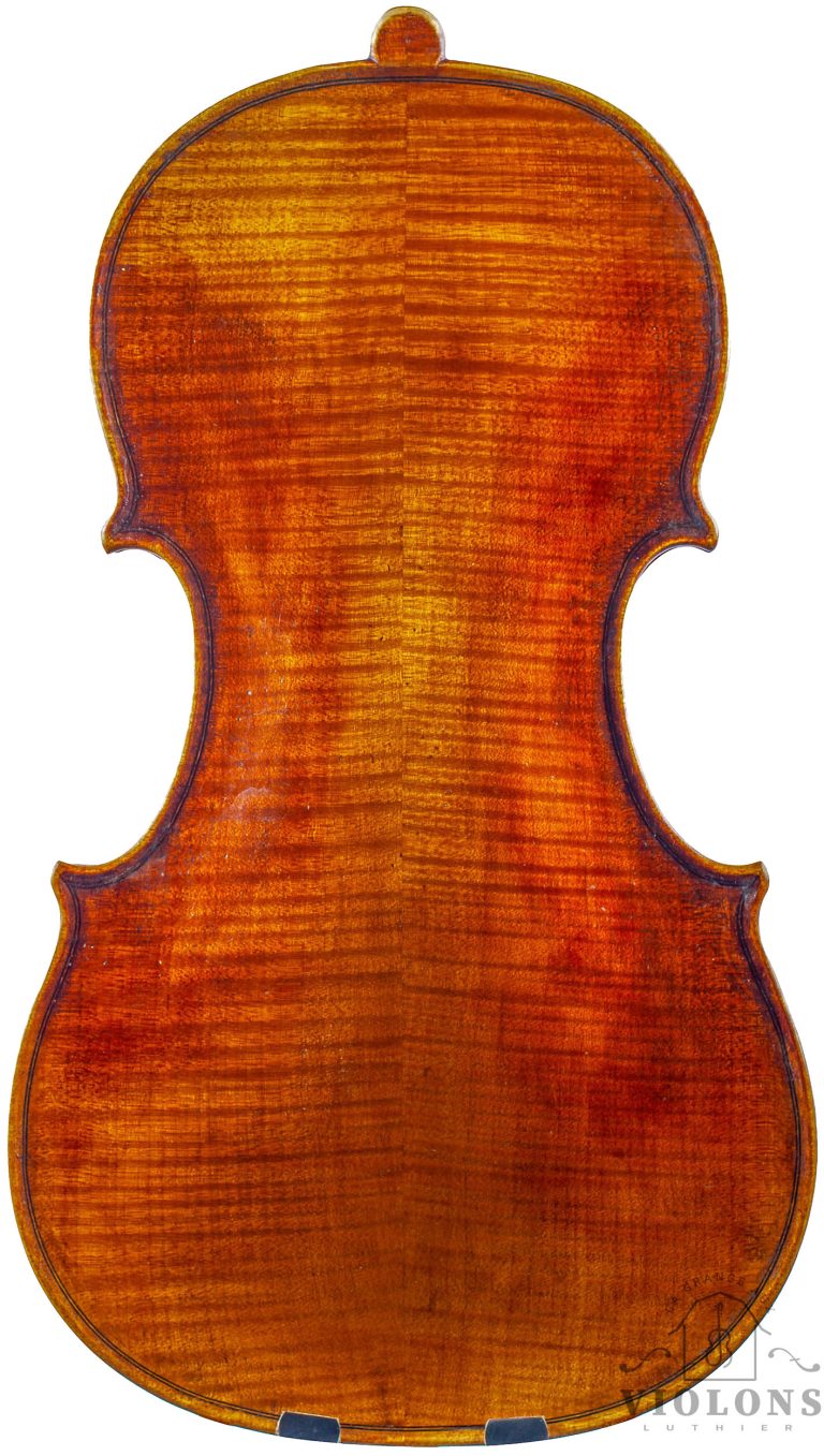 Violon V1666_02